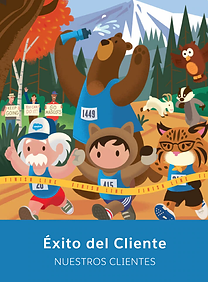 Consultoria de Salesforce en Mexico y LATAM