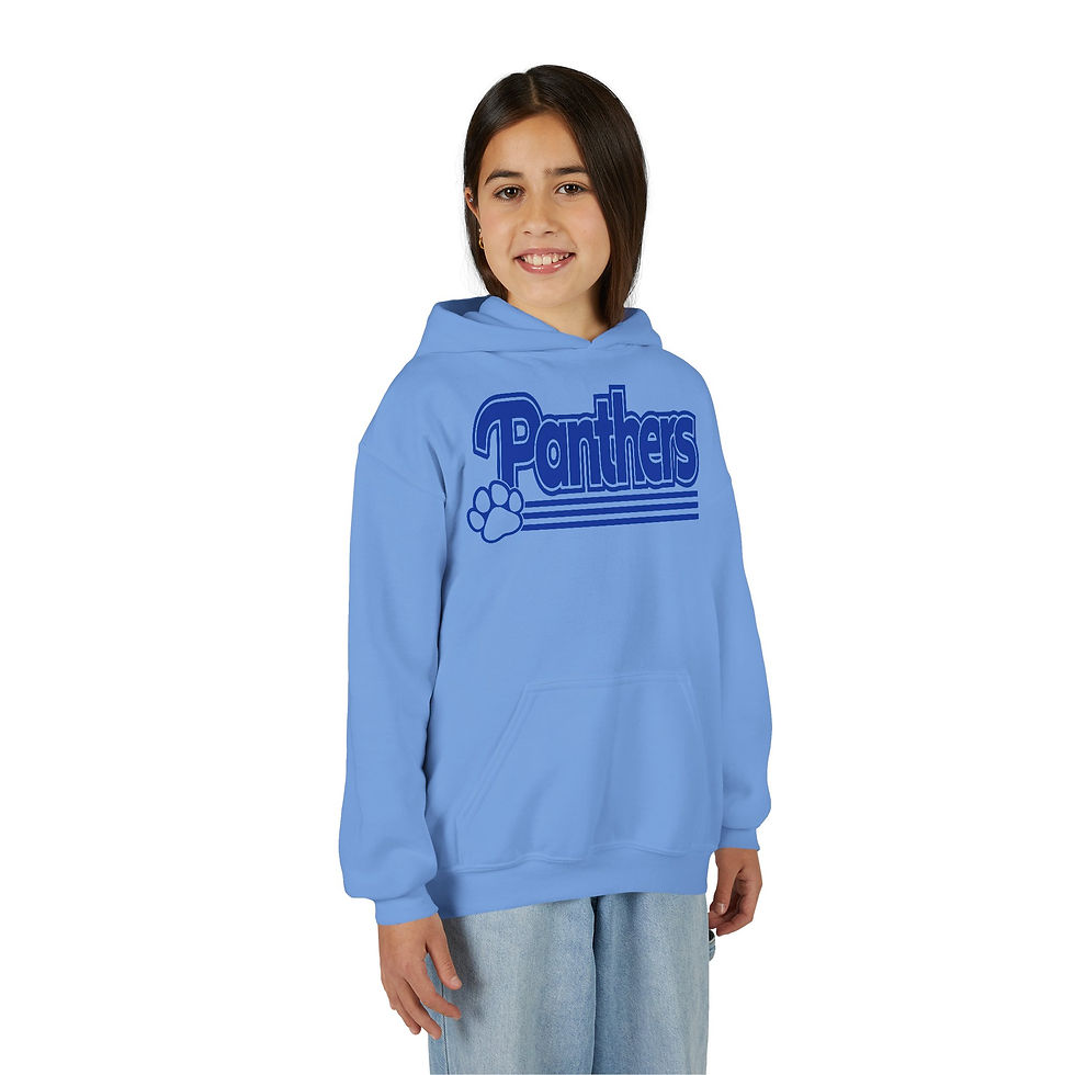 Thumbnail: Panthers Retro Pawprint Hoodie Youth