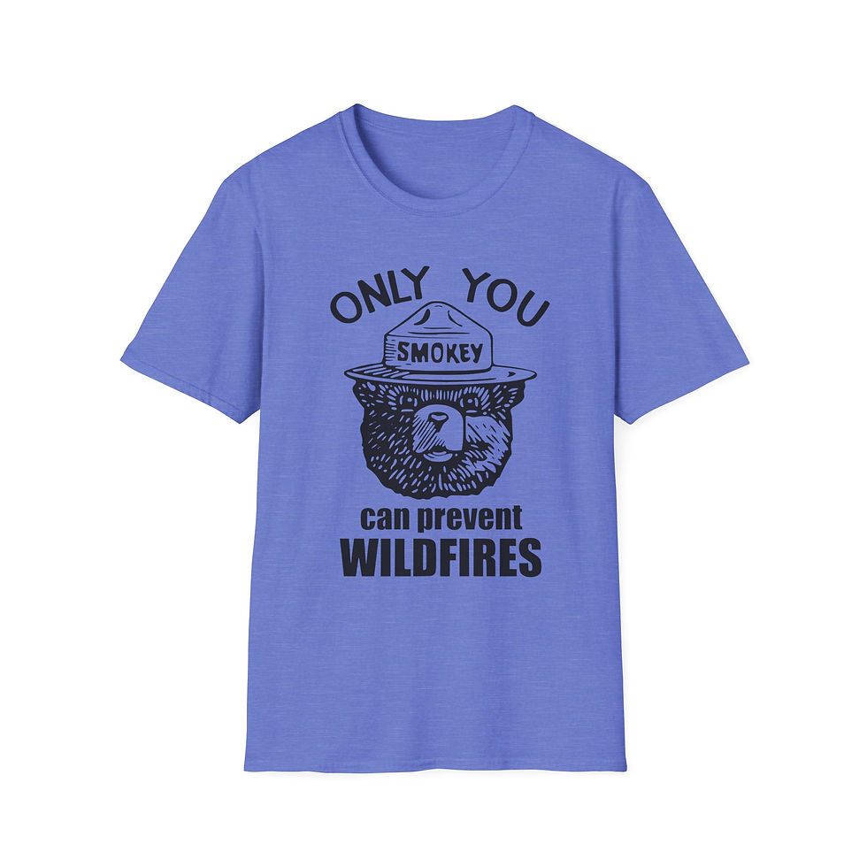 Thumbnail: Only You Can Prevent Wildfires
