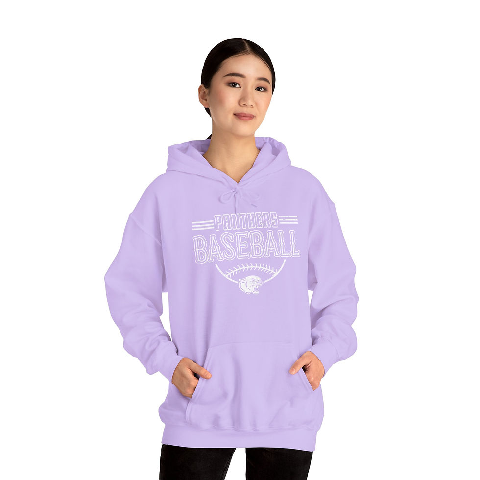Thumbnail: Panthers Baseball Hoodie Adult