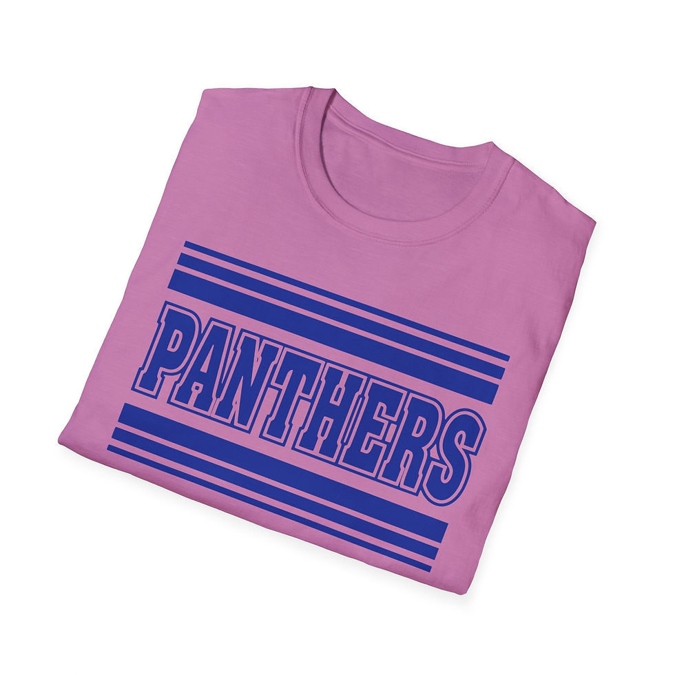 Thumbnail: Panthers Retro Stripe Adult