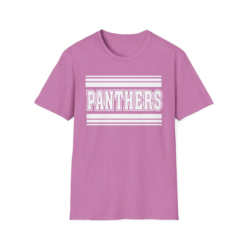 Thumbnail: Panthers Retro Stripe Adult