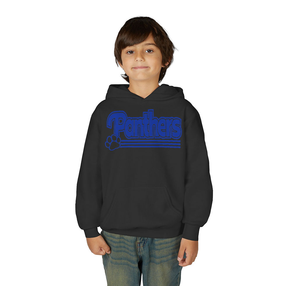 Thumbnail: Panthers Retro Pawprint Hoodie Youth