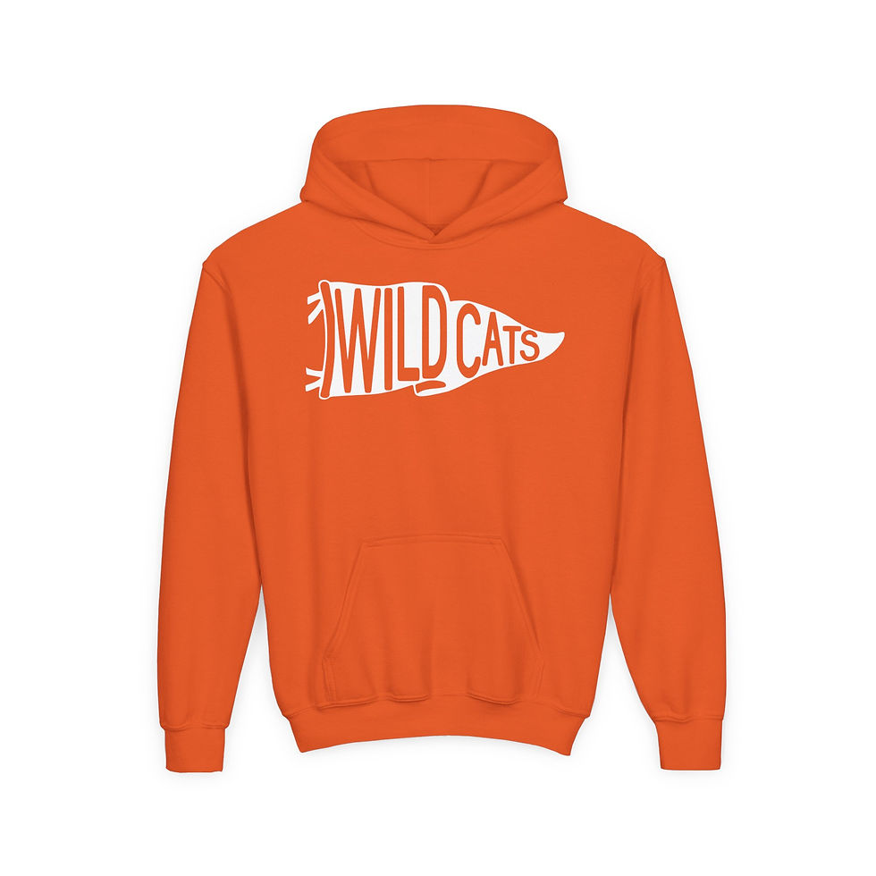 Thumbnail: Wildcats pennant hoodie youth
