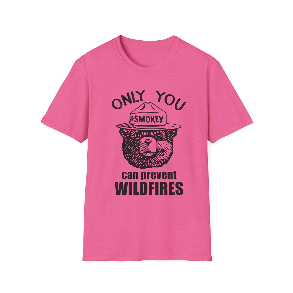 Thumbnail: Only You Can Prevent Wildfires