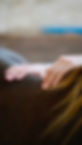 Bild von meinen Hand auf der Wirbelsäule eines Pferdes