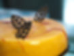 gateau-trois-agrumes.jpg