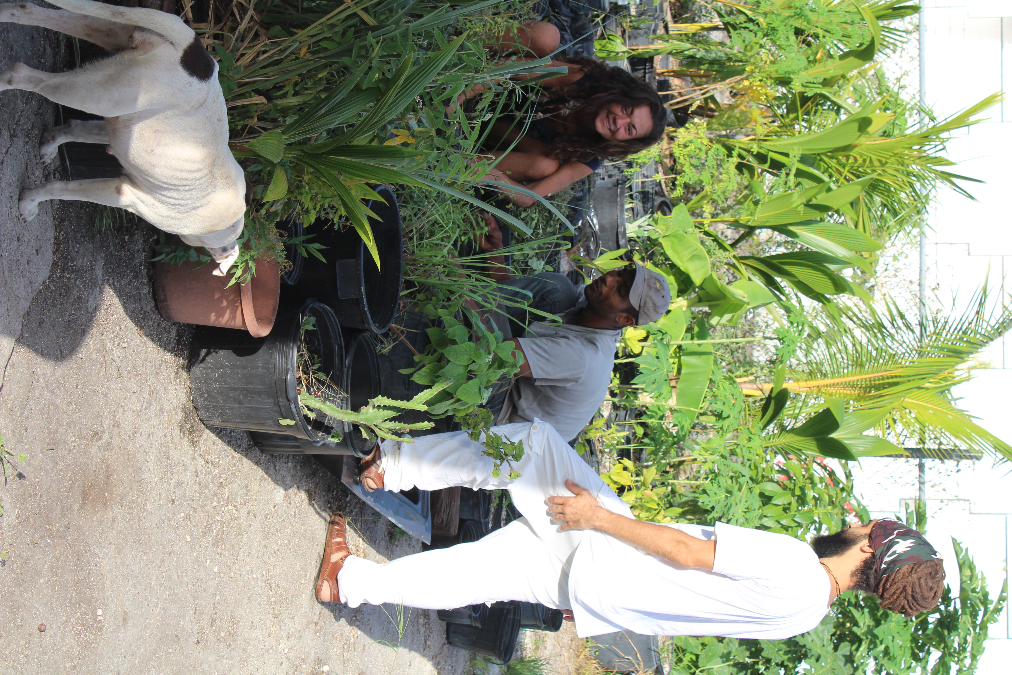 Planting