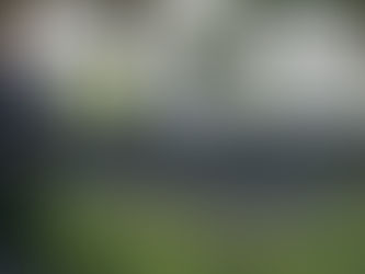 Da investigador de UANL recomendaciones ante brote del virus símico