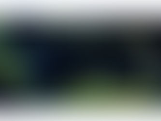 Mehr Delikte, weniger Gewalt