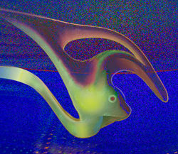 shellife_edited