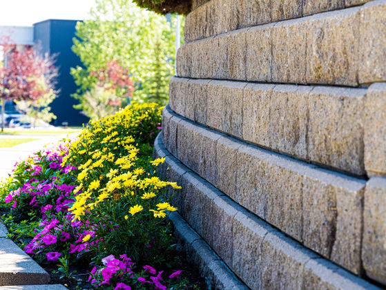 Retaining Walls, Spring