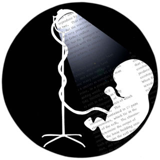 Kansas City Star review of humorous book about early marriage and parenthood.