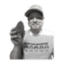 1 (2).png