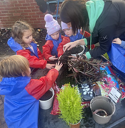 EYFS growing.jpg