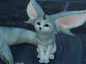 Top 10 - Cutest Video Game Characters