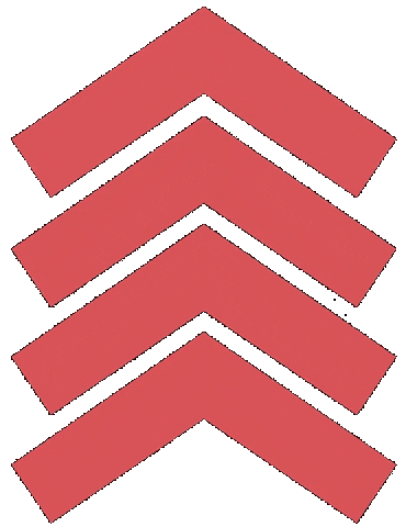 giphy.gif