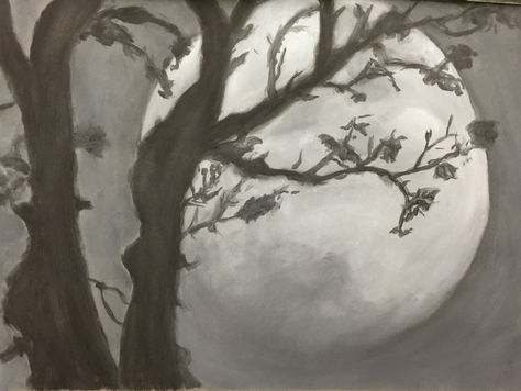Monochrome Studies