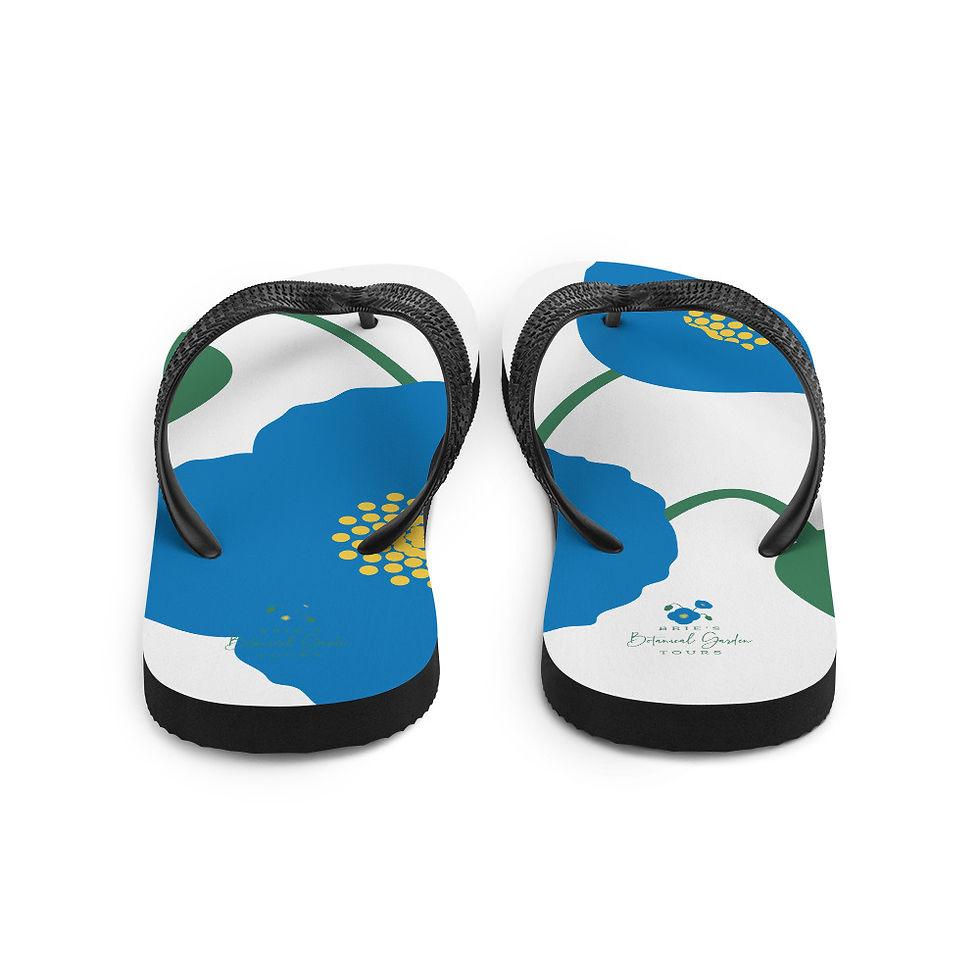 Thumbnail: Blue Poppy Flip-Flops