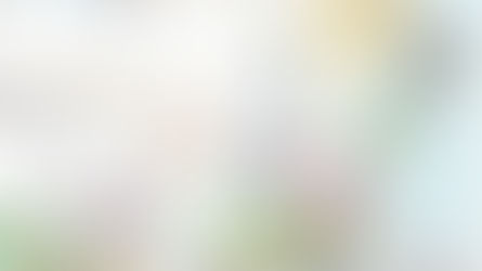 Regiões de Influência das Cidades 2020