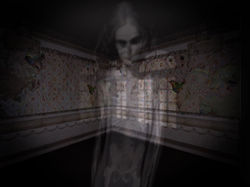 Entre Paredes - 2015