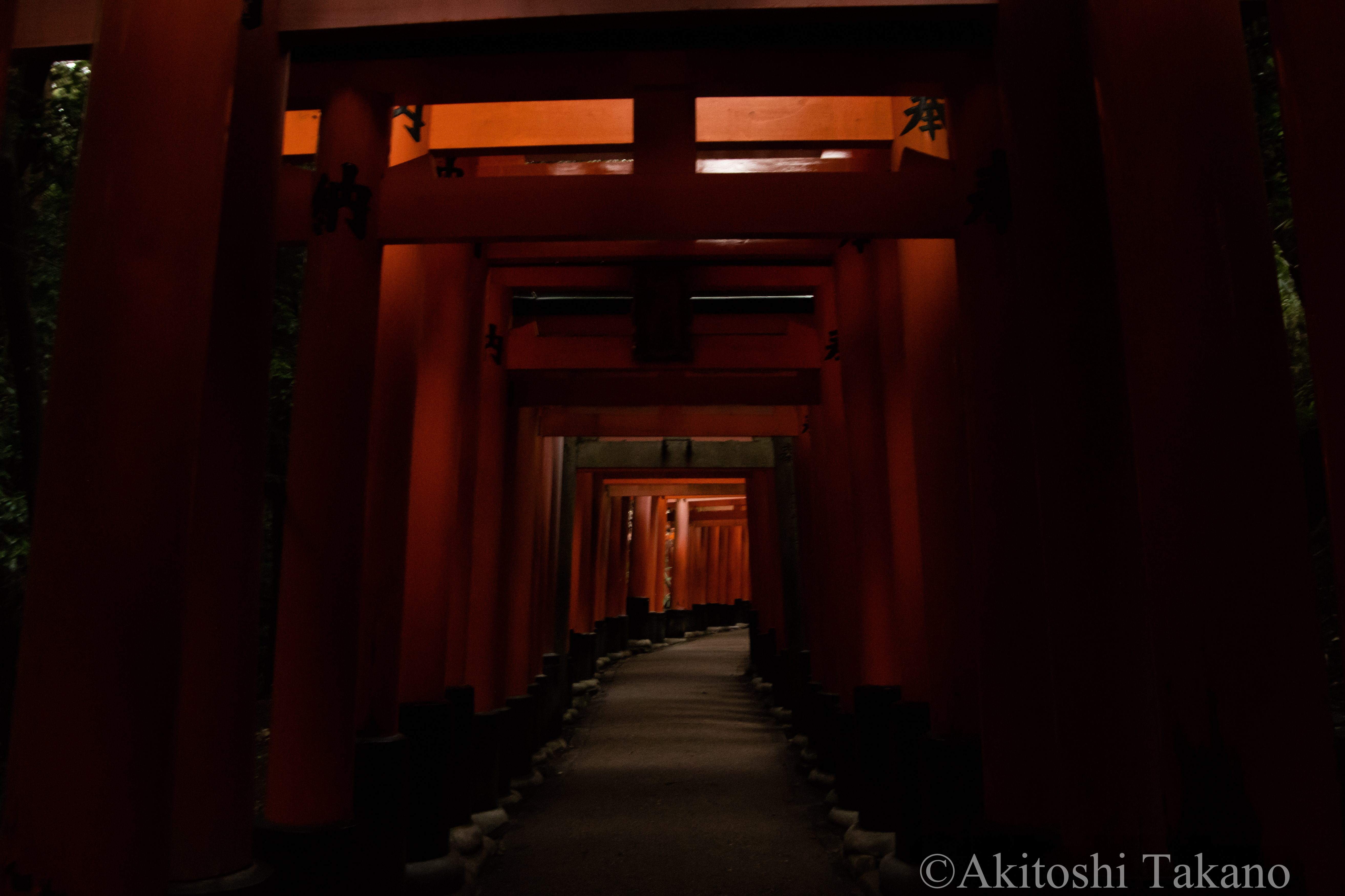 神住む森