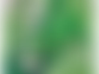 5月の庭にスズラン