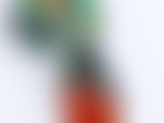 ソノラの陽はまた昇る！～ソノラサンライズ　インド・ジャイプール経由で入荷予定