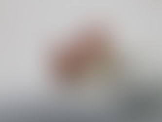 パール②～美肌効果！？