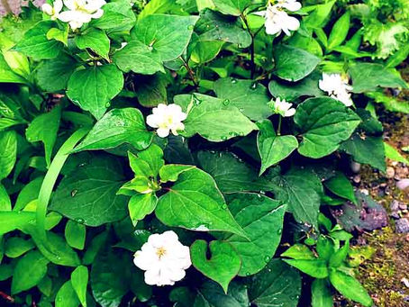 できちゃった♥　お・で・き（ｷｬｯ