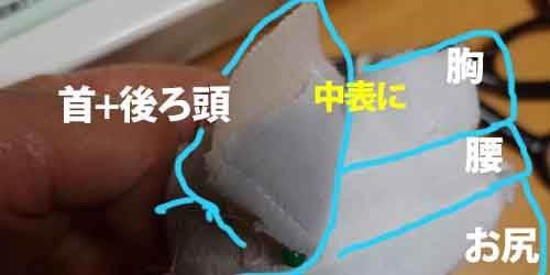 手作りもちマス　ボディ作り