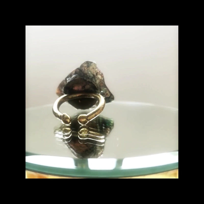 サムネイル： 海の宝石・ニュージーランドパウアシェルリング