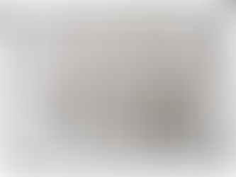 キリンのいる風景～癒しのナチュラルスタイルアクセサリー