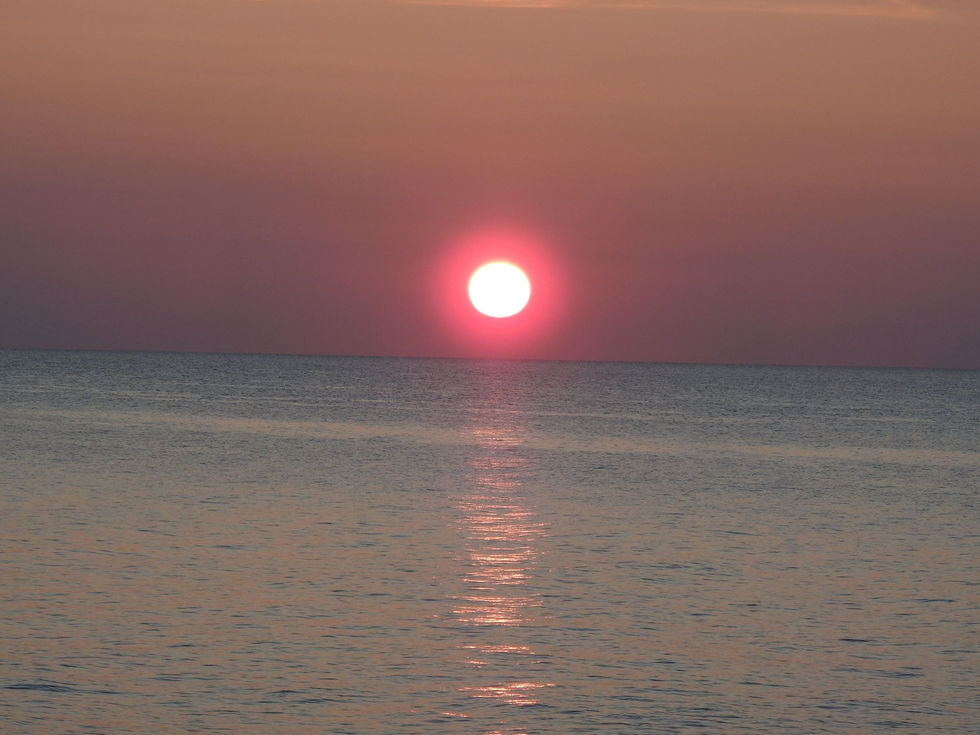 DSCN1836