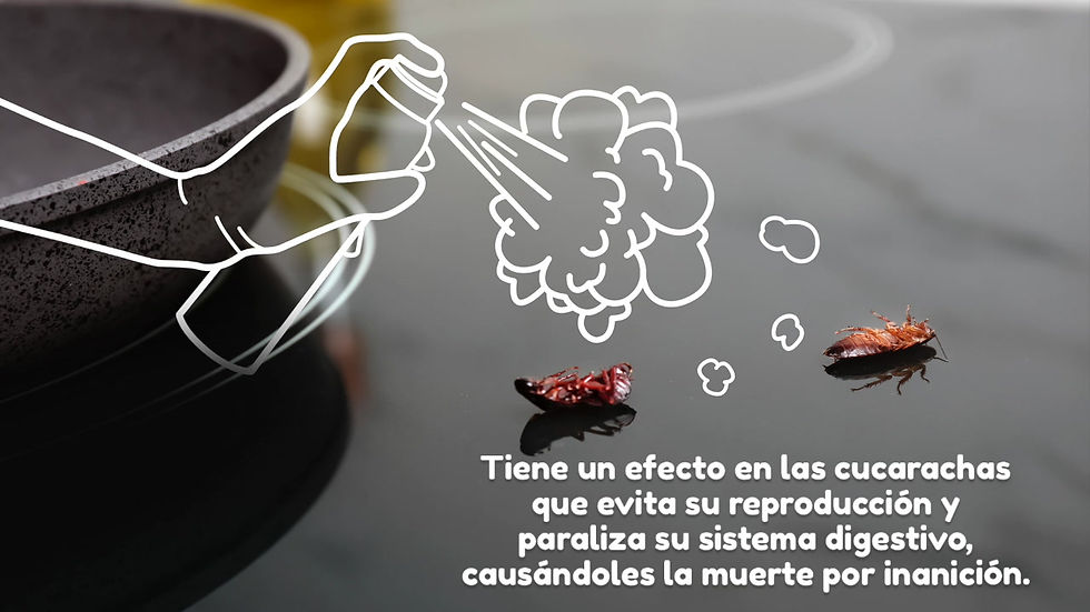 Miniatura: KIT CUCA KILLER