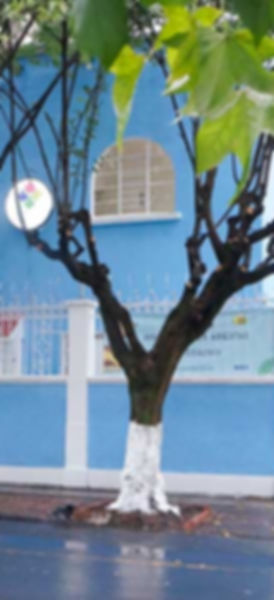 Fachada3.jpg
