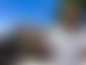 Will Smith : Le Prince haïtien devenu roi d'Hollywood (ou presque)