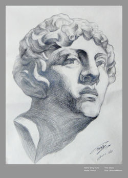 Pencil Drawing