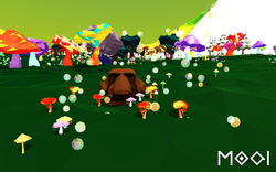 moaionmushrooms