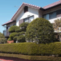Shrub and Tree Maintence, Yard Cleanup in Monmouth County NJ