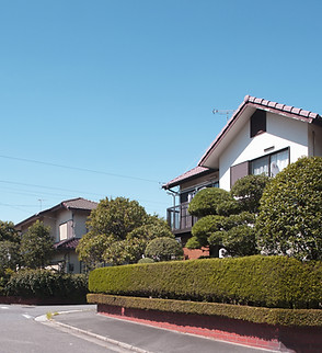 Estate with Greenery