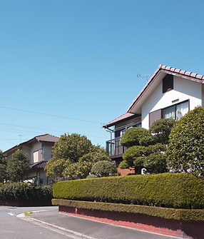 Estate with Greenery