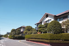Estate with Greenery