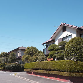 Estate with Greenery