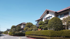 בניית אתר לחברות נדל"ן: מדריך מקיף