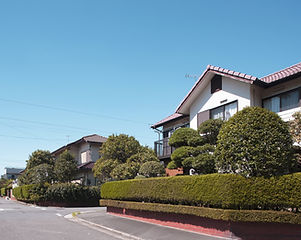 Estate with Greenery