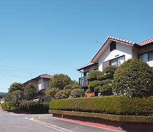 Estate with Greenery