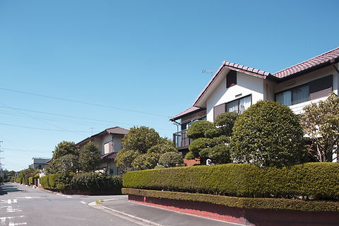 Estate with Greenery