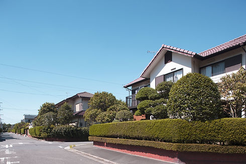 Estate with Greenery