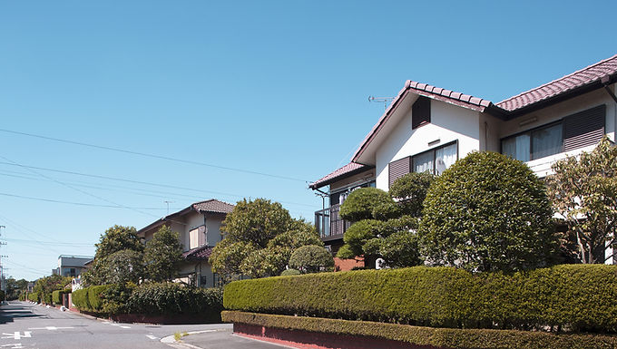 Building Credit Early for Real Estate